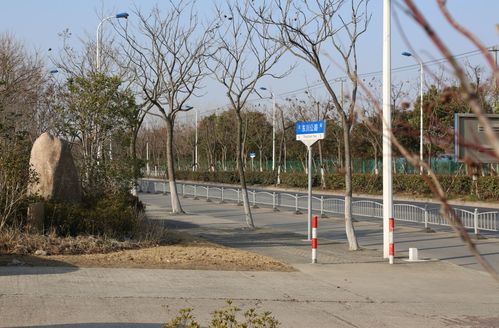 交通設施改造 道路沿線景觀提升 浦東這個鎮民生實事項目