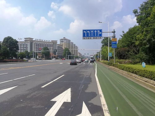 回應(yīng)市民關(guān)切，龍洲路沿線路口交通設(shè)施迎升級，道路安全再添新保障