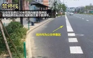 揚(yáng)州車主注意 亂停車不僅罰款，這些行為12分很快扣光